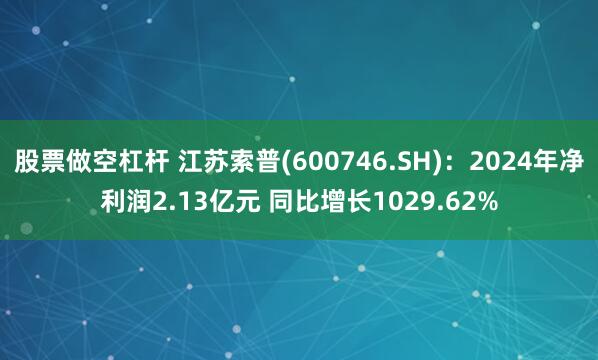 股票做空杠杆 江苏索普(600746.SH)：2024年净利润2.13亿元 同比增长1029.62%