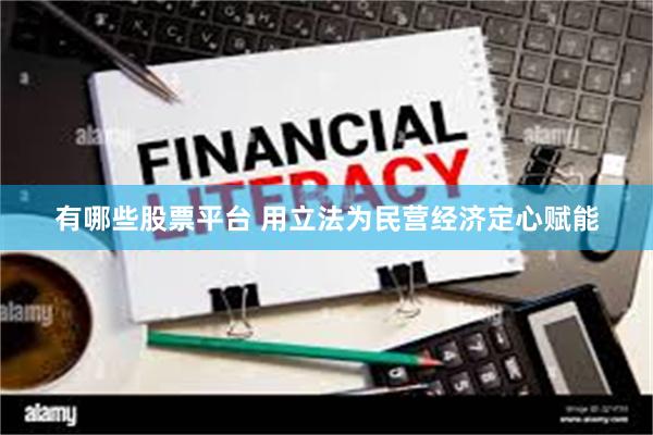 有哪些股票平台 用立法为民营经济定心赋能