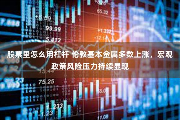 股票里怎么用杠杆 伦敦基本金属多数上涨，宏观政策风险压力持续显现