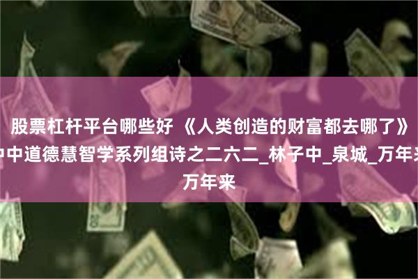 股票杠杆平台哪些好 《人类创造的财富都去哪了》中中道德慧智学系列组诗之二六二_林子中_泉城_万年来