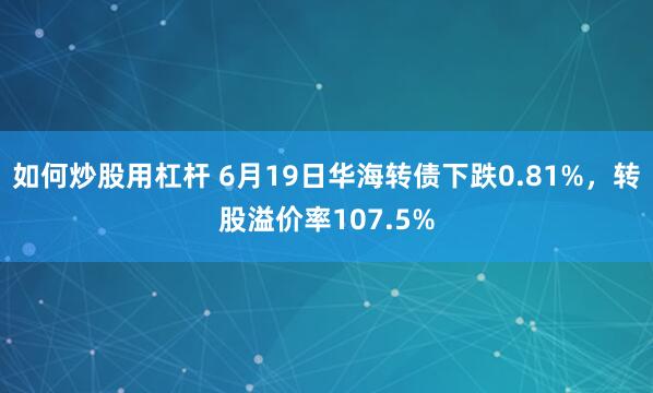 如何炒股用杠杆 6月19日华海转债下跌0.81%，转股溢价率107.5%