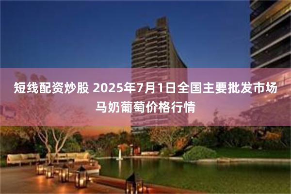 短线配资炒股 2025年7月1日全国主要批发市场马奶葡萄价格行情